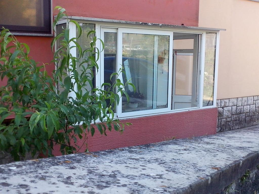 Apartment Sanja Pazin Room photo